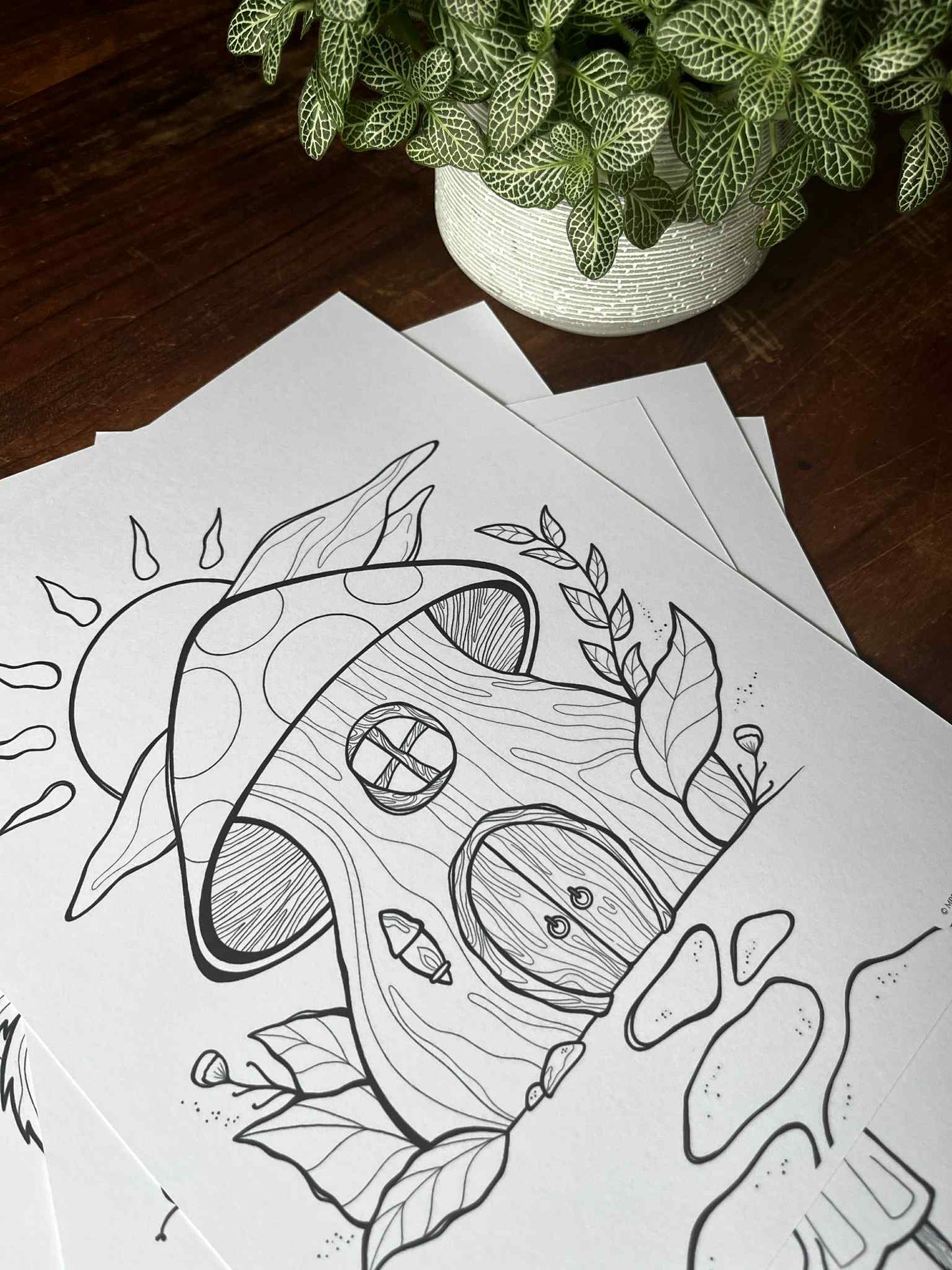 ☀️ ESTIVAL - 8 coloriages (à télécharger)