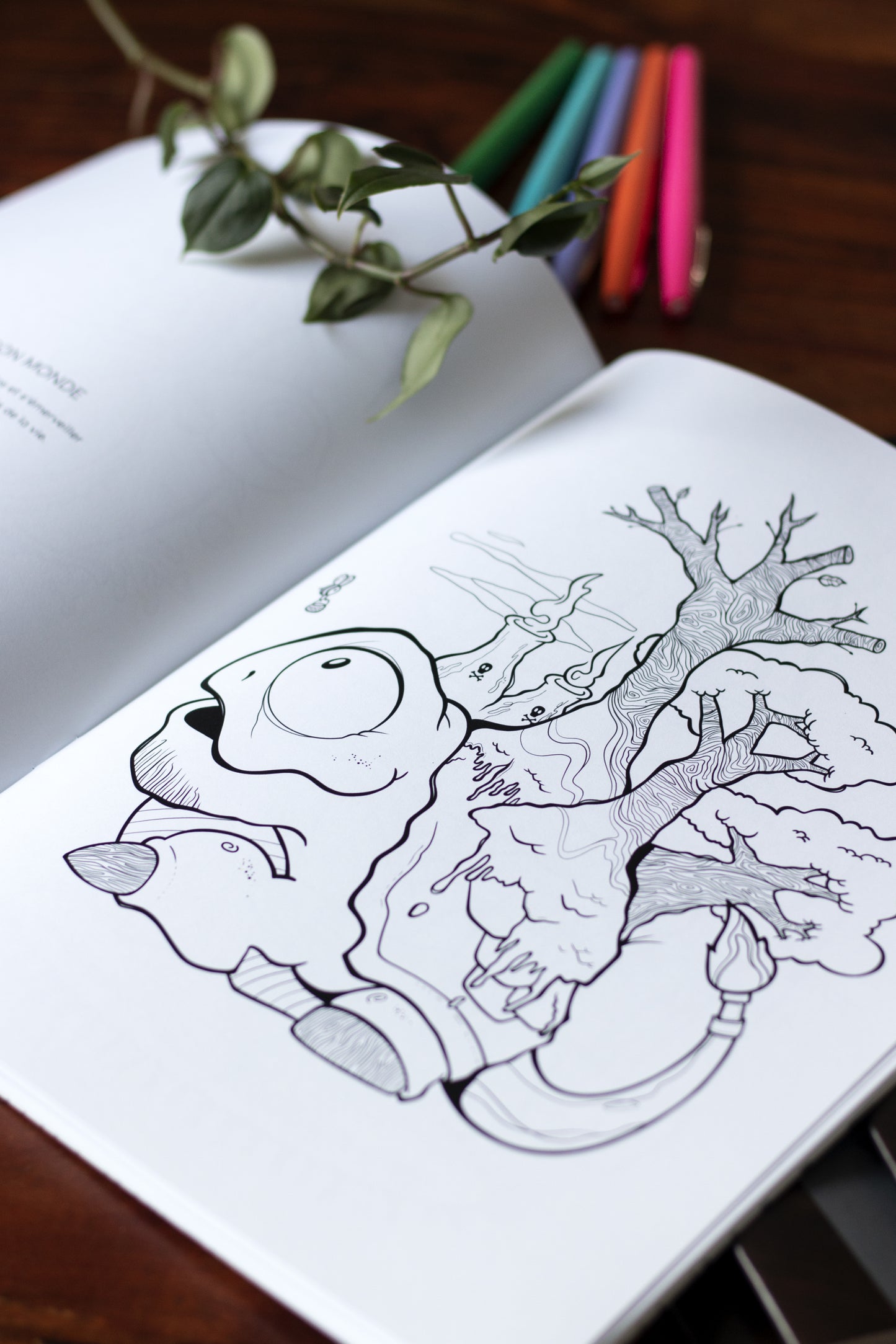 Livre à colorier :: Tome 1