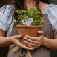 OSEZ+ : Marqueurs de fines herbes pour jardin